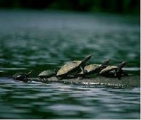 /album/fotogaleria/images-29-jpg/